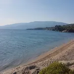 Belian 1 * Argalastí
