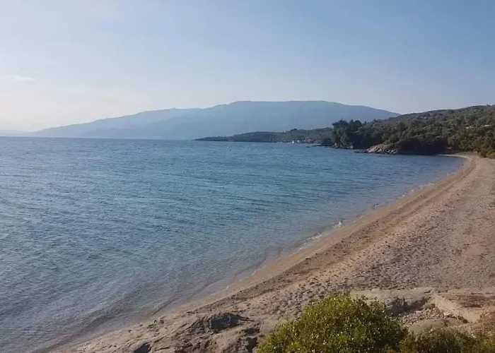 Belian 1 * Argalasti